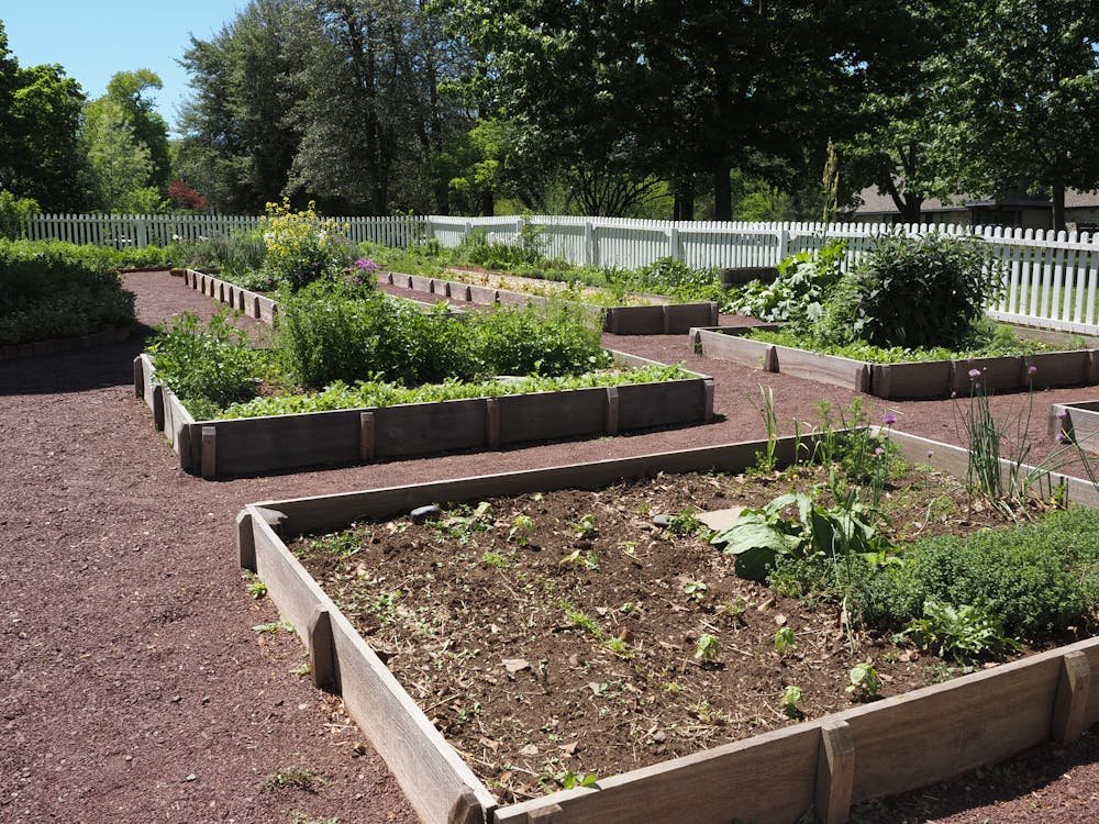 Landscaping Ideas to Boost Your Home's Curb Appeal