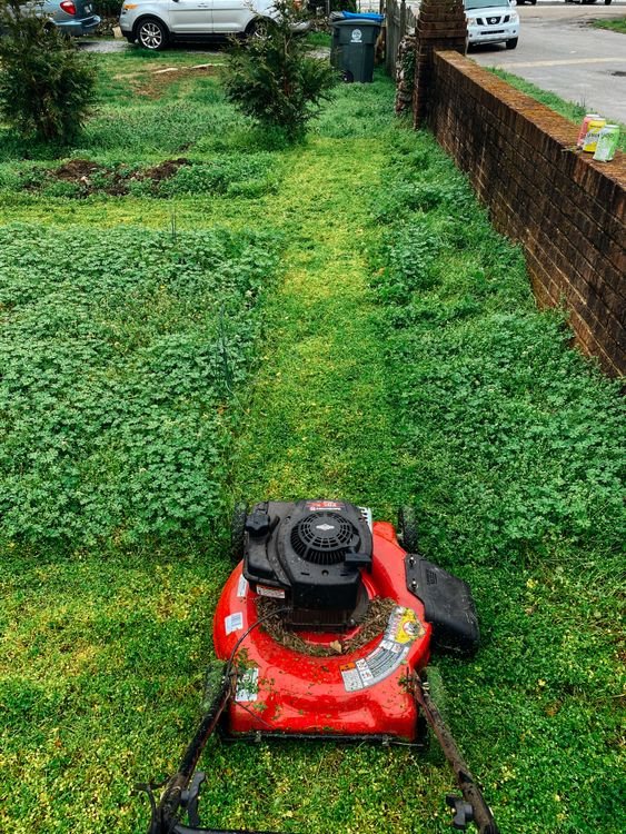 Lawn Aeration: The Complete Homeowner's Guide