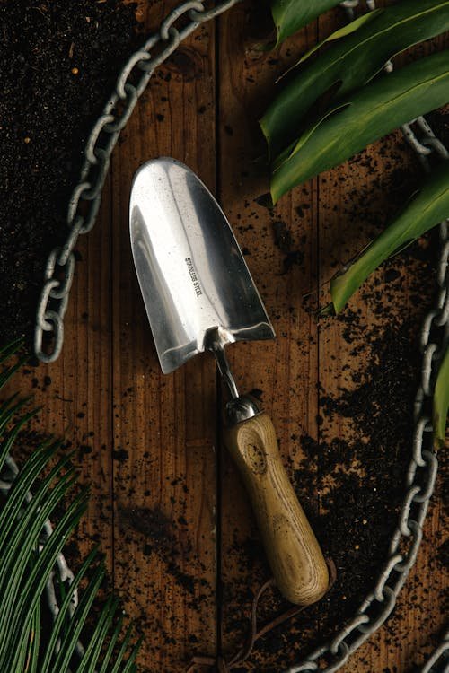 Lawn Fertilizer Schedule: When and How to Feed Your Lawn