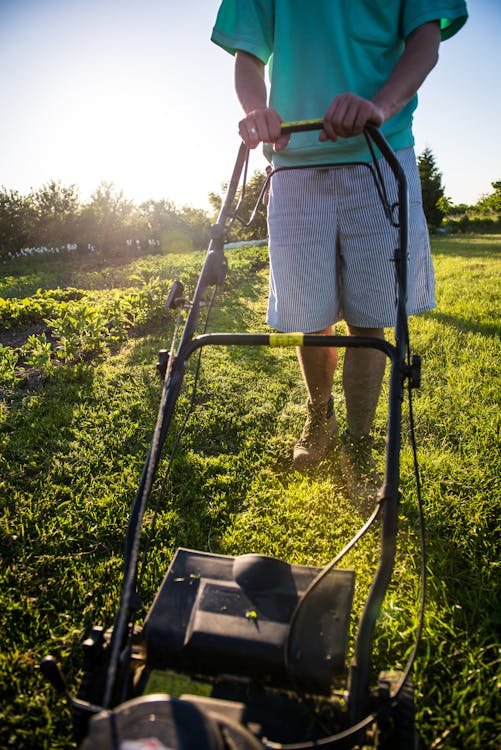Best Lawn Mowers for Small and Large Yards (2024)